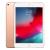 iPad Mini 5 7.9 Wi-Fi 4G 64GB (Gold)