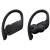 Tai Nghe Beats Powerbeats Pro Totally Wireless Earphones - Black