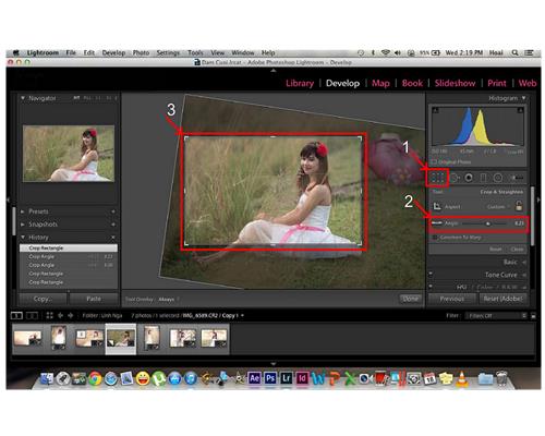 Bố cục ảnh bằng crop trên Lightroom