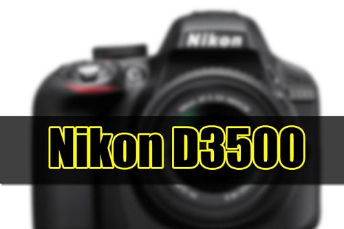 Máy ảnh Nikon D3400/D3500 sử dụng cảm biến 24MP    