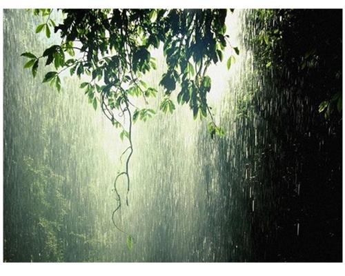 99 Hình ảnh trời mưa buồn ảnh mưa rơi tâm trạng nhất  Trường THPT Lê Ích  Mộc