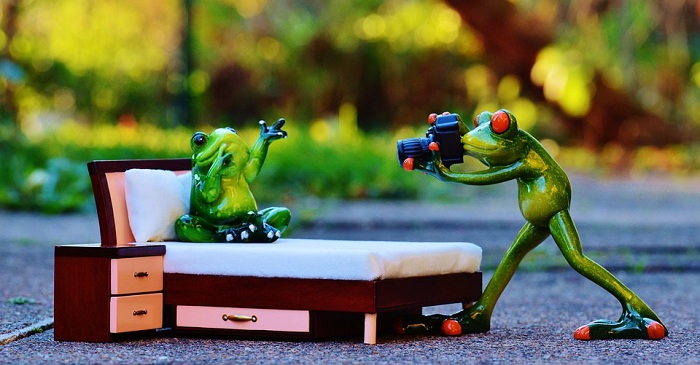 “Té ghế” với bộ ảnh khi ếch làm nhiếp ảnh gia