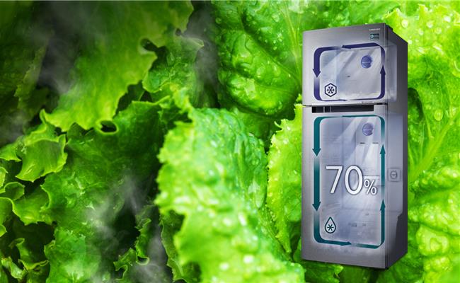 Lợi ích thiết thực của những chiếc tủ lạnh 2 dàn lạnh