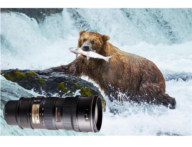 Những lựa chọn ống kính tốt nhất cho máy ảnh Nikon D850