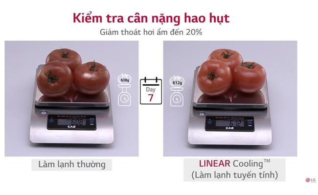 Có gì đặt biệt từ công nghệ Linear Inverter đời mới trên tủ lạnh LG