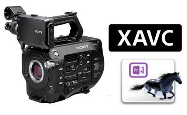 Mười lý do thuyết phục nên sử dụng định dạng video XAVC của máy quay Sony