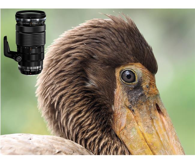 Những ống kính thích hợp nhất cho máy ảnh Panasonic GH5s