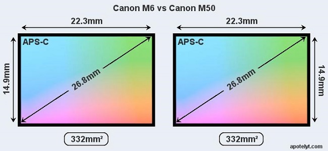 So sánh Canon EOS M50 và Canon EOS M6