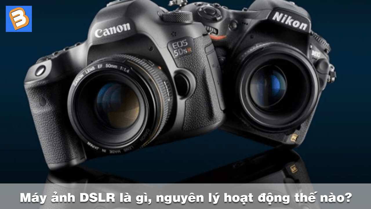 Máy ảnh DSLR là gì, nguyên lý hoạt động thế nào?