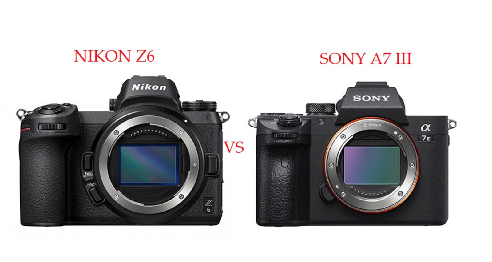 So sánh máy ảnh Nikon Z6 và Sony A7 III