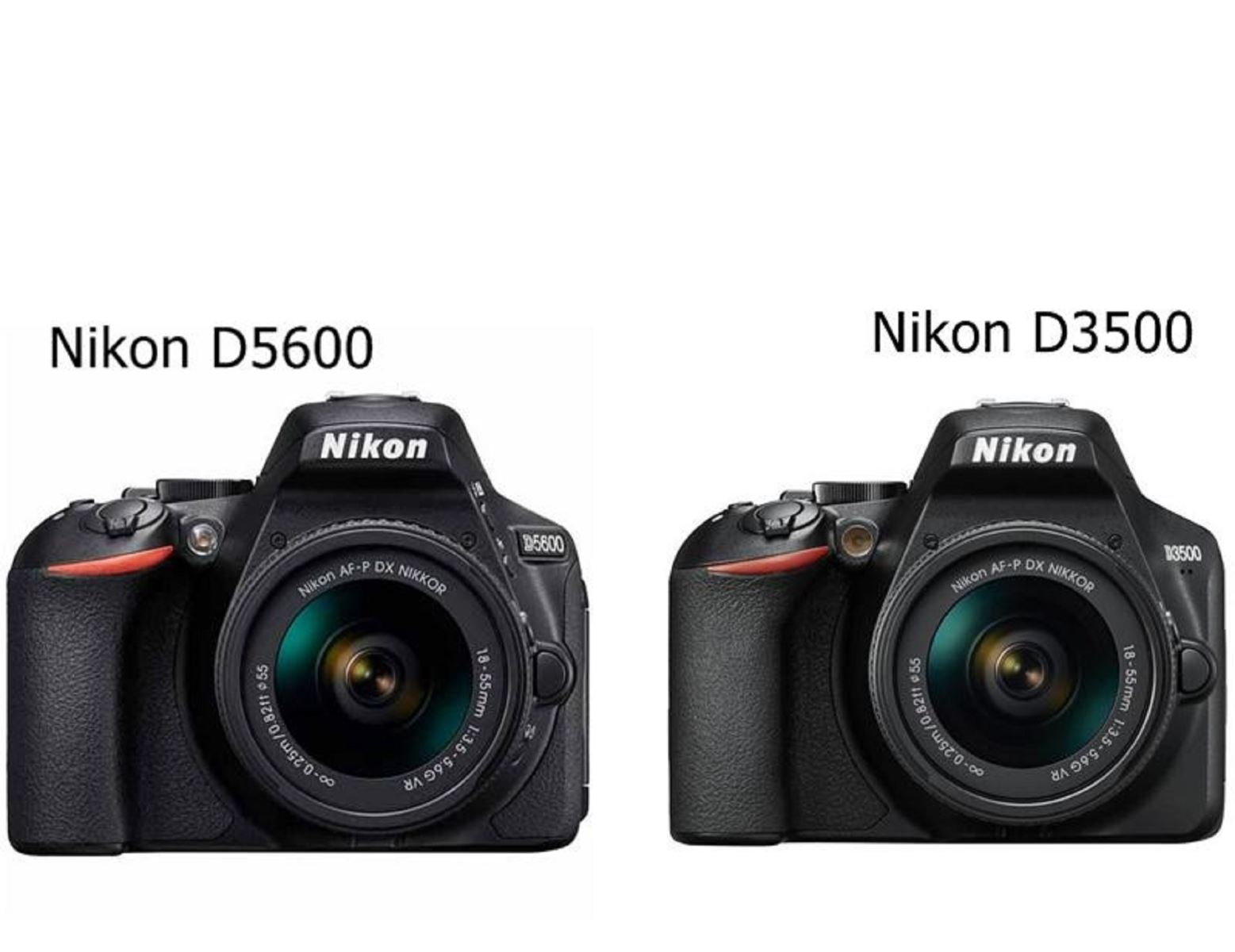 So sánh máy ảnh Nikon D3500 và máy ảnh Nikon D5600