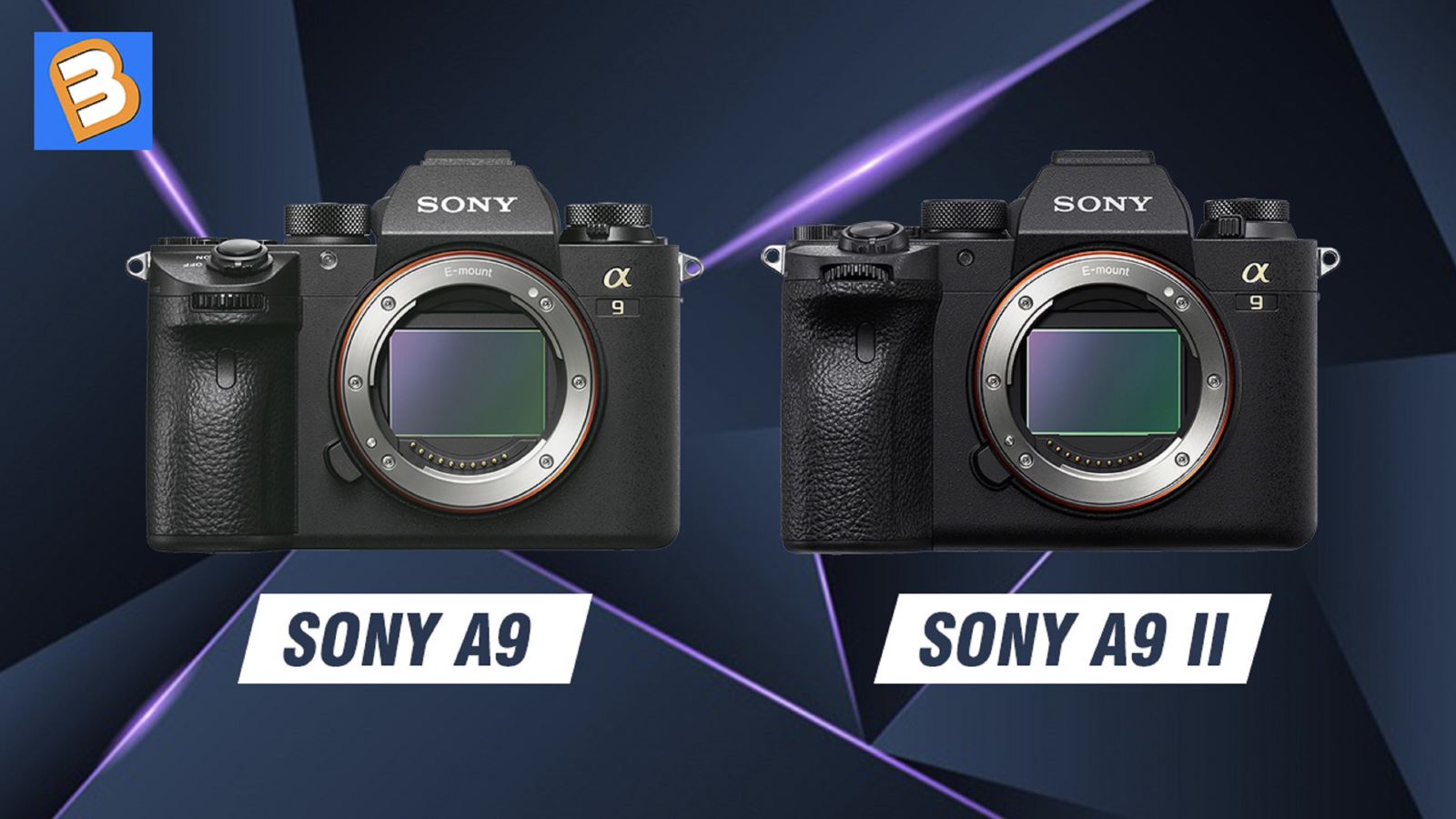 Sony A9 với A9 II: Những điểm khác biệt chính