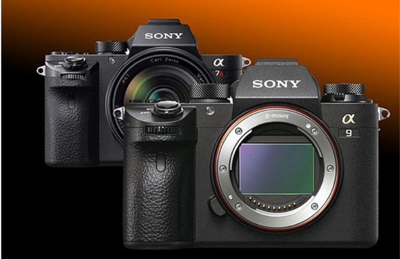 Tìm hiểu về đại gia đình máy ảnh Sony