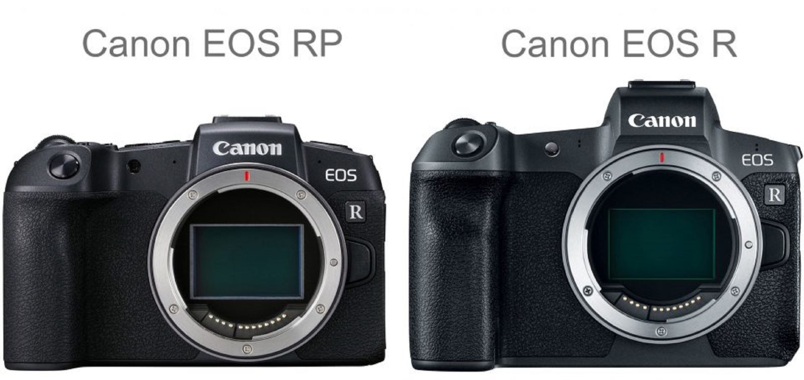 So sánh Canon EOS R vs Canon EOS RP