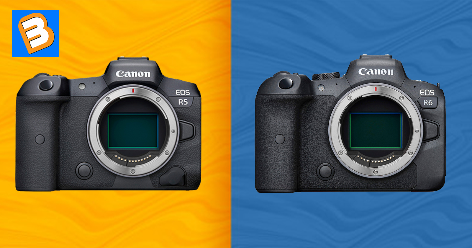 Những thông tin mà bạn nên biết về EOS R5 và R6: bộ đôi mirrorless mạnh mẽ nhất nhà Canon