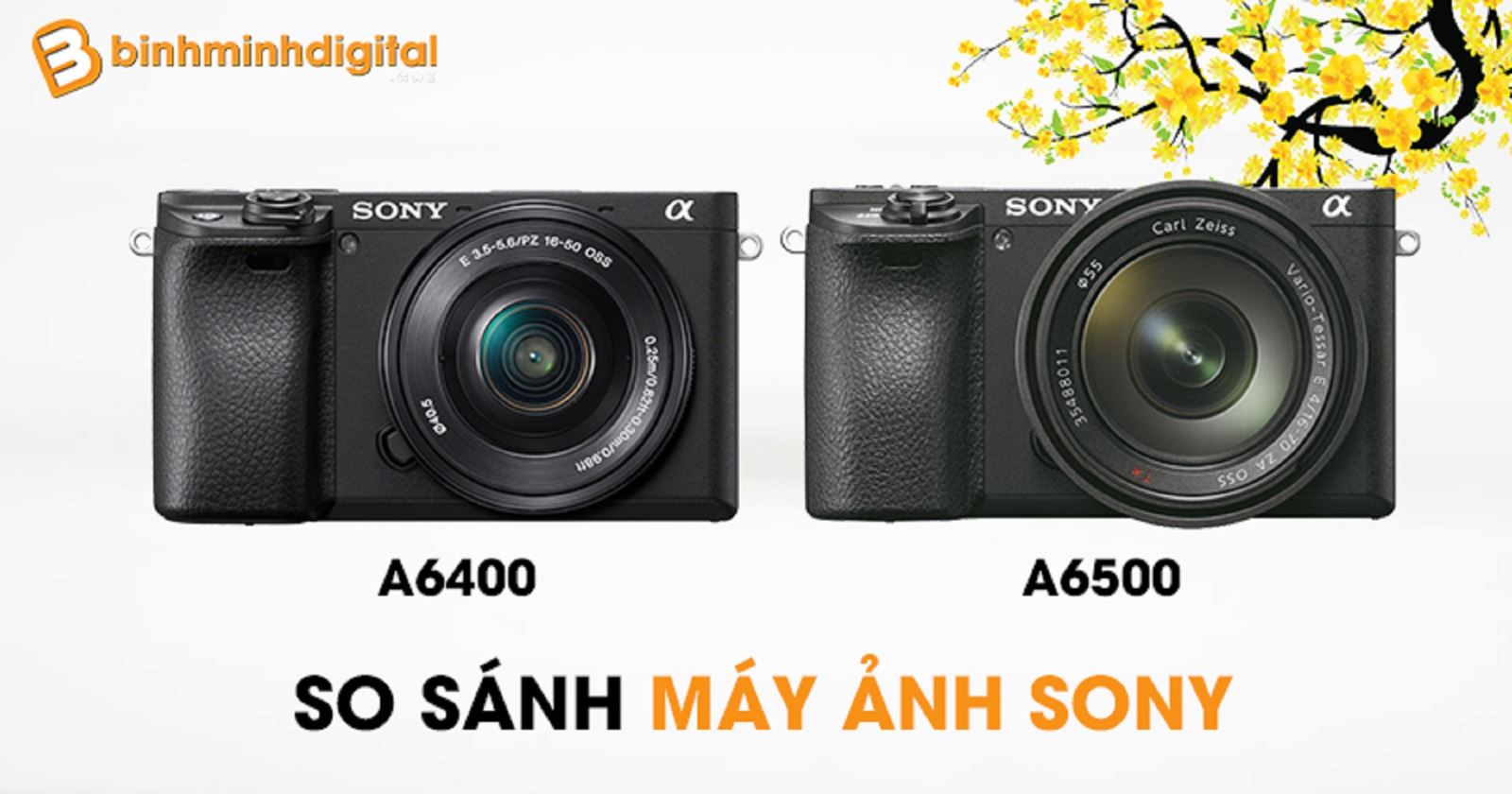 So sánh máy ảnh Sony a6400 và a6500
