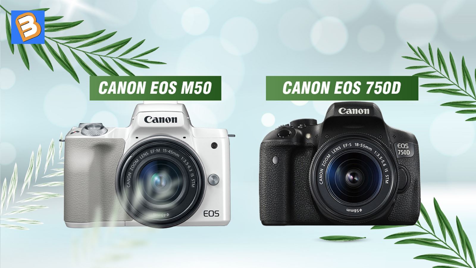 So sánh Canon EOS M50 với Canon EOS 750D