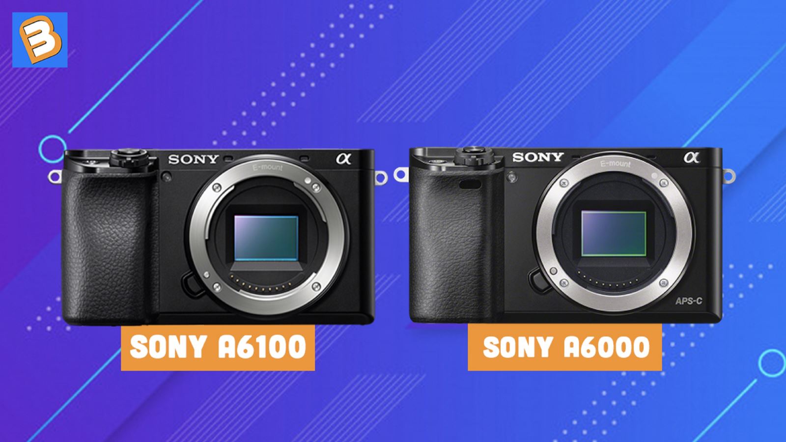 So sánh Sony A6100 với Sony A6000