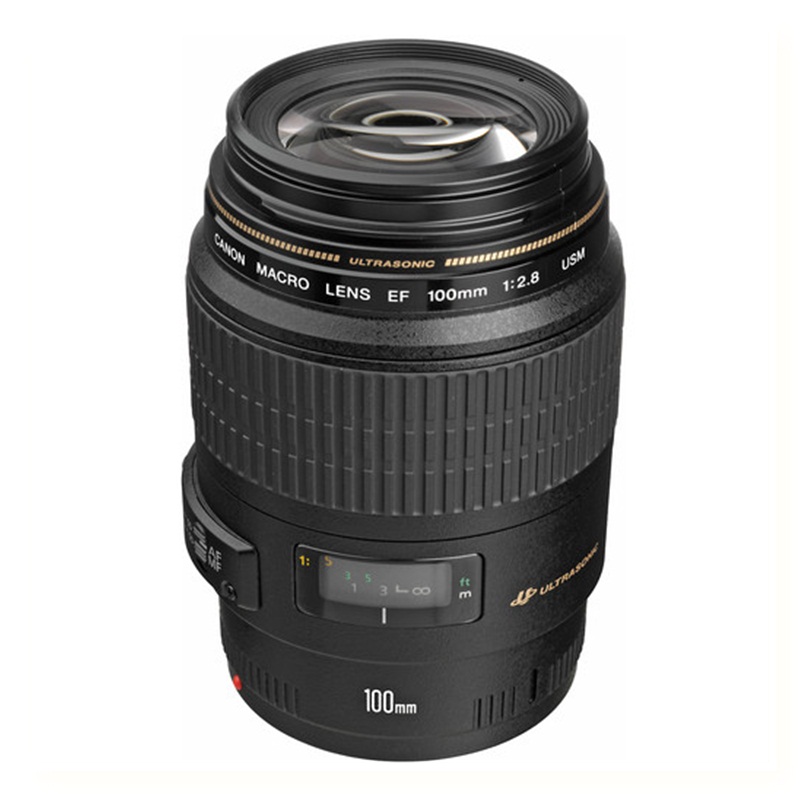 Canon EF100mm F2.8 Macro USM - レンズ(単焦点)