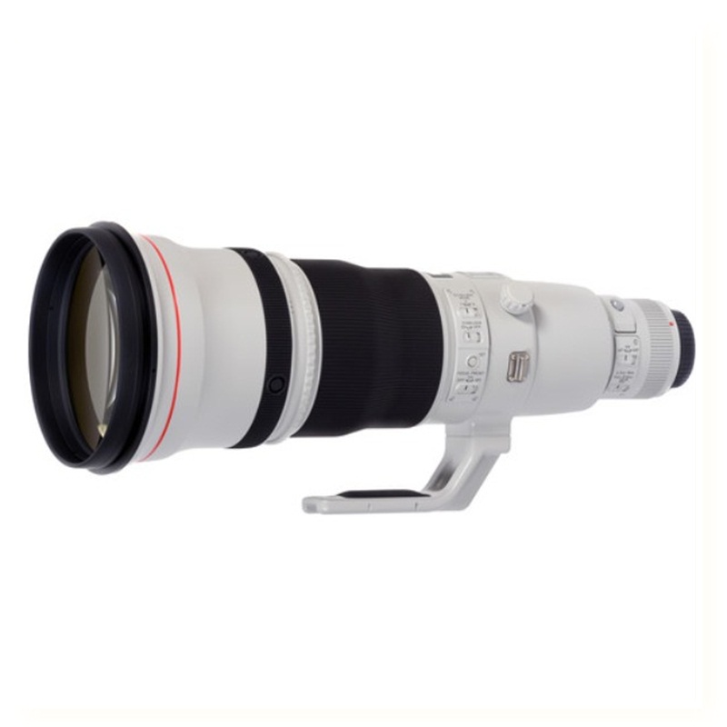 600mm fixed lens