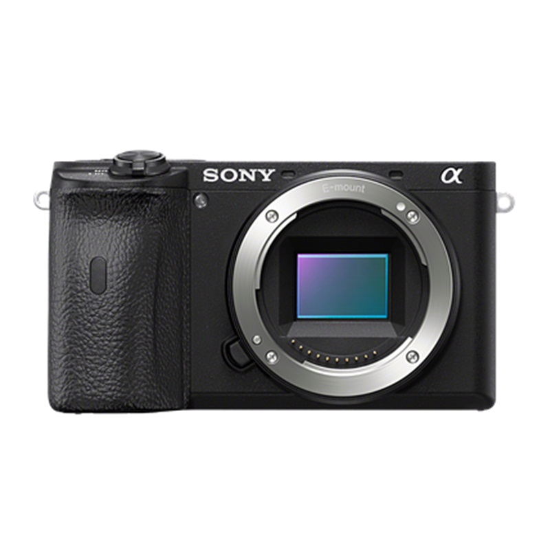 is sony a6600 a professional camera