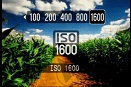 ISO trên máy ảnh kĩ thuật số