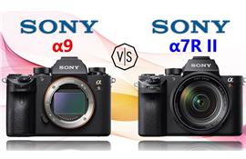 So sánh Sony A9 và Sony A7R Mark II