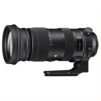 Ống Kính Sigma 60-600mm F4.5-6.3 DG OS HSM Sports cho Canon