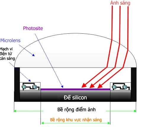 Cấu tạo và nguyên lí chuyển đổi tín hiệu của cảm biến máy ảnh