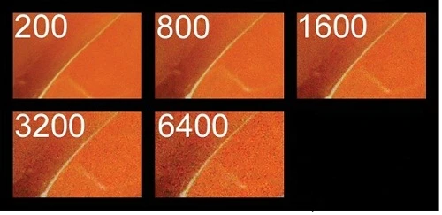 ISO trên máy ảnh kĩ thuật số