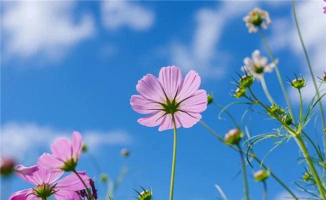 10 kỹ thuật chụp ảnh ấn tượng mà bạn nên biết