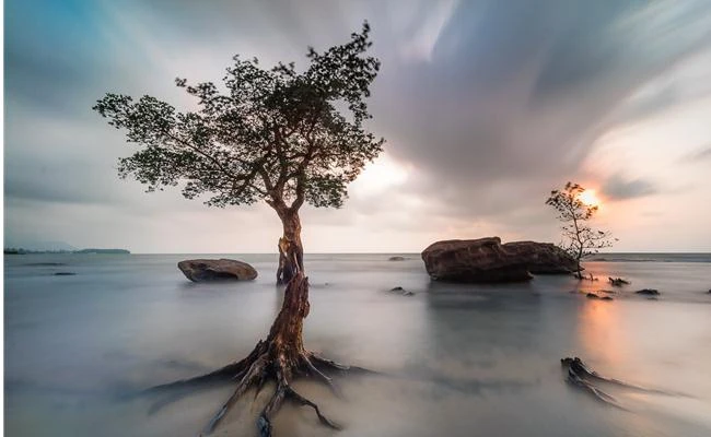 10 kỹ thuật chụp ảnh ấn tượng mà bạn nên biết