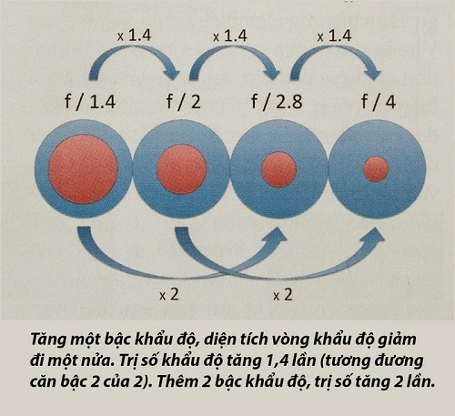 Khẩu độ ống kính máy ảnh