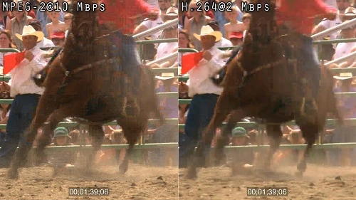 Các định dạng tập tin cho máy quay phim