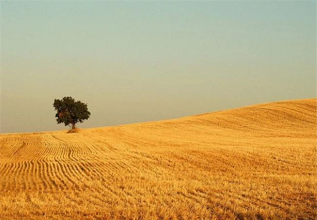 5 lời khuyên về bố cục trong nhiếp ảnh