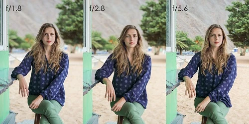 5 lý do để ống kính fix 50 mm là lựa chọn đầu tiên của bạn