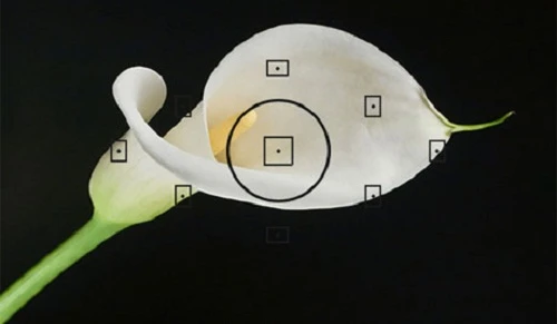 Cơ chế lấy nét trên máy ảnh 