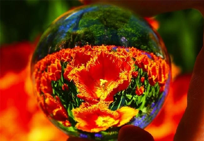 Bí quyết để chụp ảnh sáng tạo với quả cầu pha lê