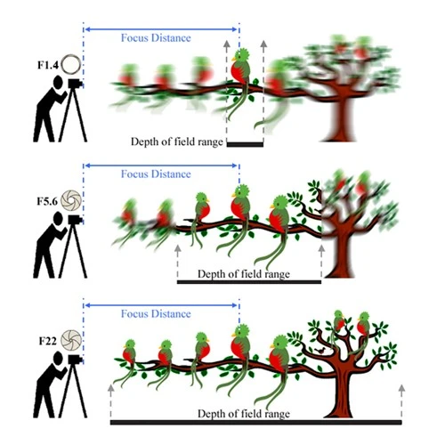 Điều chỉnh độ sâu trường ảnh cho ảnh chụp đẹp hơn 