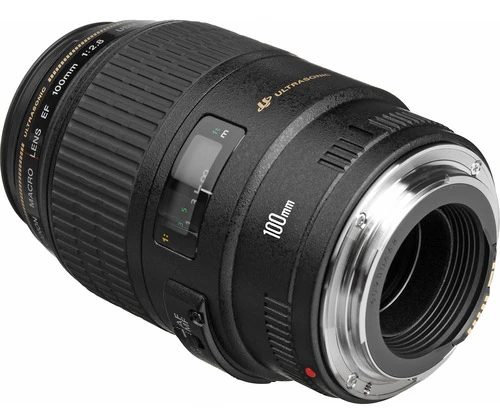 5 ống kính macro tốt nhất cho DSLR của Canon