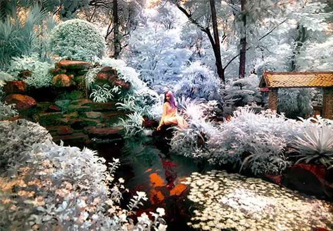 Chụp hồng ngoại bằng cách dùng máy ảnh chuyển đổi