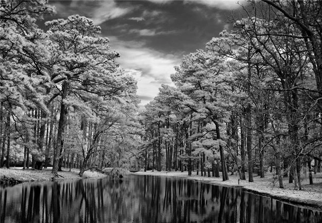 Chụp hồng ngoại bằng cách dùng máy ảnh chuyển đổi