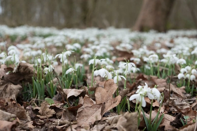 Fujifilm XT2 Vs Nikon D750