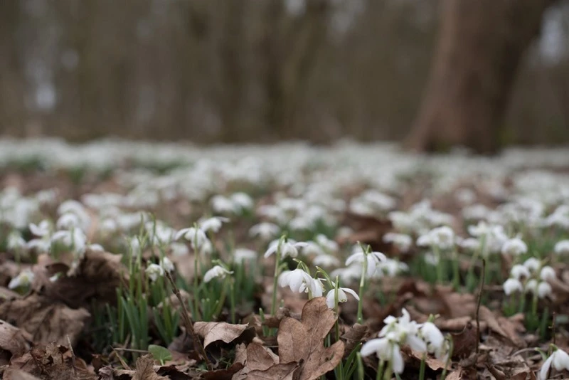 Fujifilm XT2 Vs Nikon D750