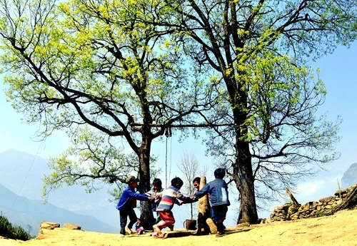 Góc nhìn của máy ảnh (Phần 1)