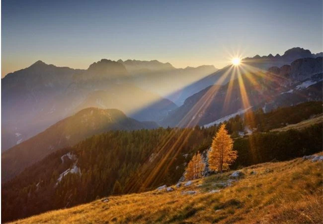 Hãy học nhiếp ảnh bắt đầu từ học lấy nét