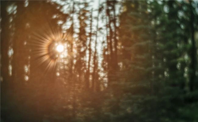 Hiệu ứng đặc biệt từ ống kính Lensbaby