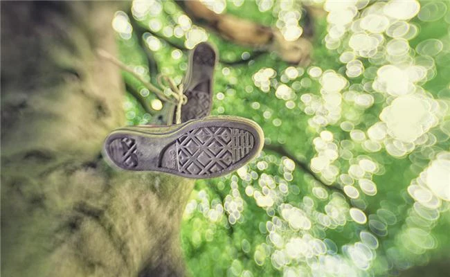 Hiệu ứng đặc biệt từ ống kính Lensbaby