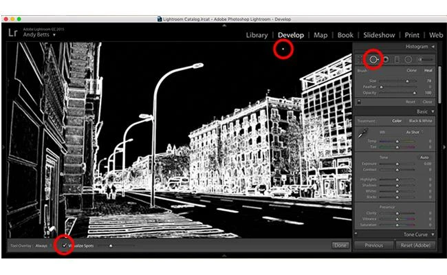 Học cách chỉnh sữa hình ảnh đơn giản bằng Lightroom (phần 1)
