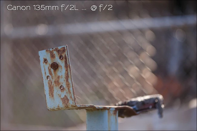 So sánh Canon 135mm f/2L và Canon 70-200mm f/2.8L IS II